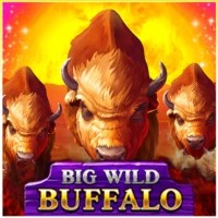 game logo by Belatra Games on pricedups.uk